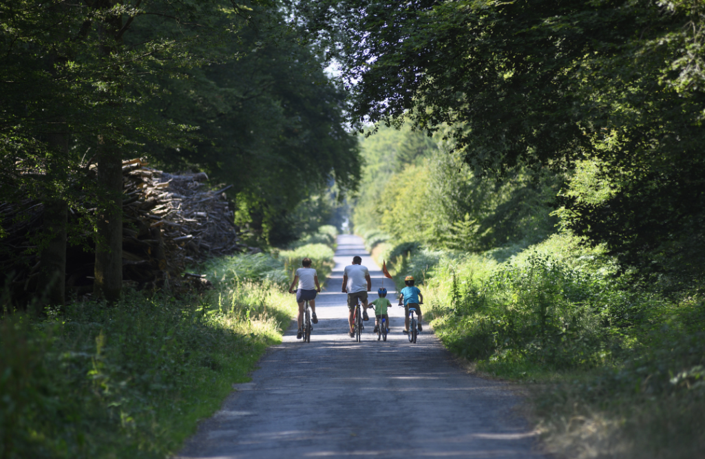 Foret de crécy